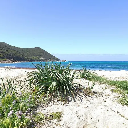 Ecological House With Solar Electricity Hébergement de vacances Ajaccio (Corsica)